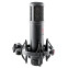 Микрофон sE Electronics SE 2200 - фото 4