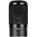 Микрофон sE Electronics SE 2300