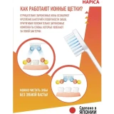 Зубная щётка Hapica DB-3XY