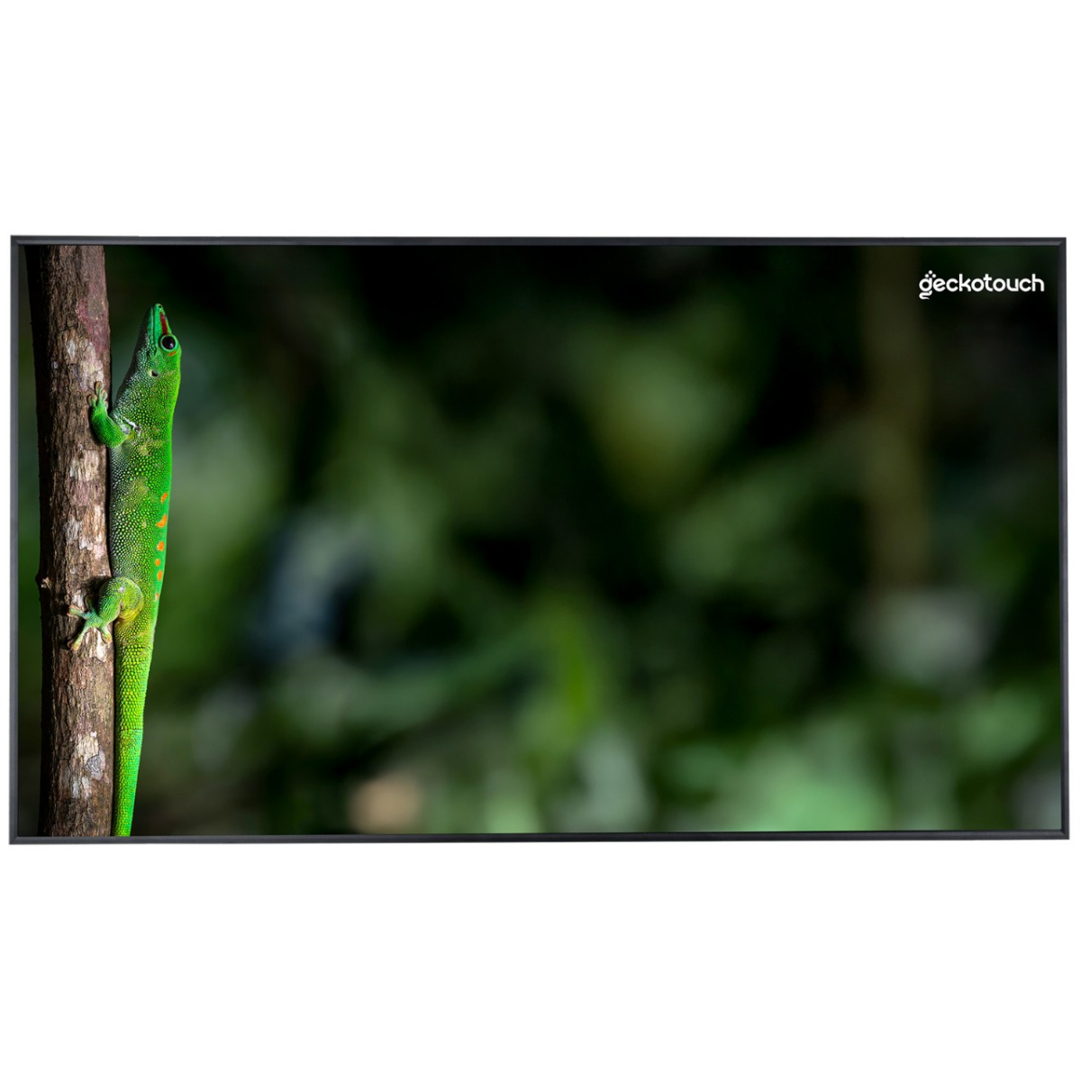 ЖК панель Geckotouch 43" 43DCR