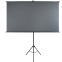 Экран Lumien Eco Picture 124х220 (LSC-100102)