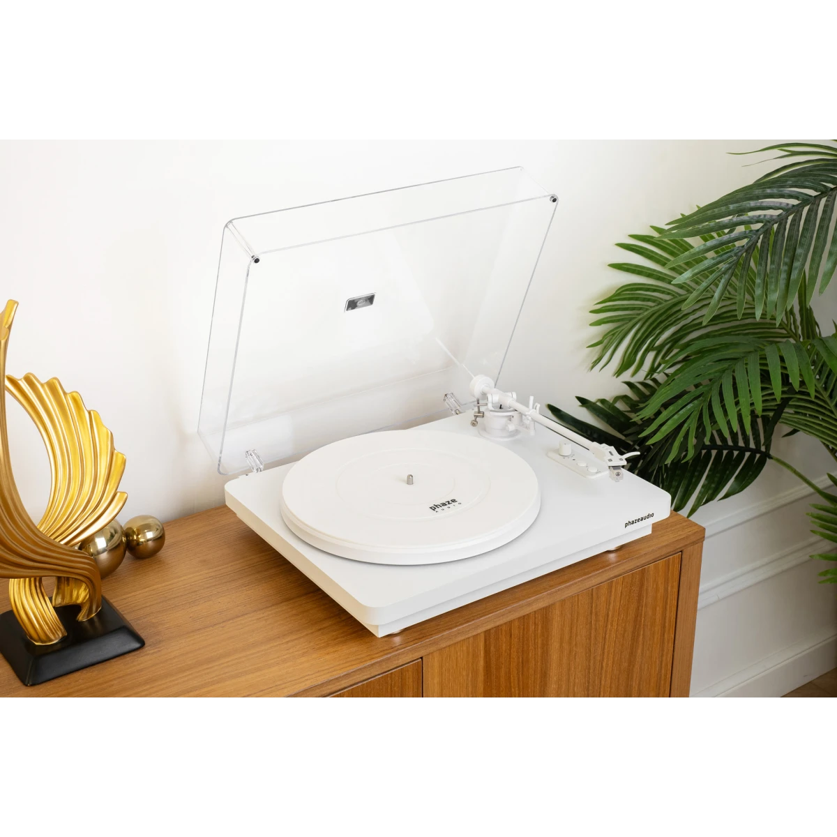 Виниловый проигрыватель Phaze Audio Diana MK2 Siberian White - PA1248 - фото 6