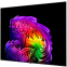 ЖК телевизор LG 83" OLED83G6RLA - фото 2
