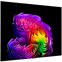 ЖК телевизор LG 83" OLED83G6RLA - фото 3