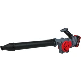 Воздуходувка PROFIPOWER DWDUB-20V (E0219M1)