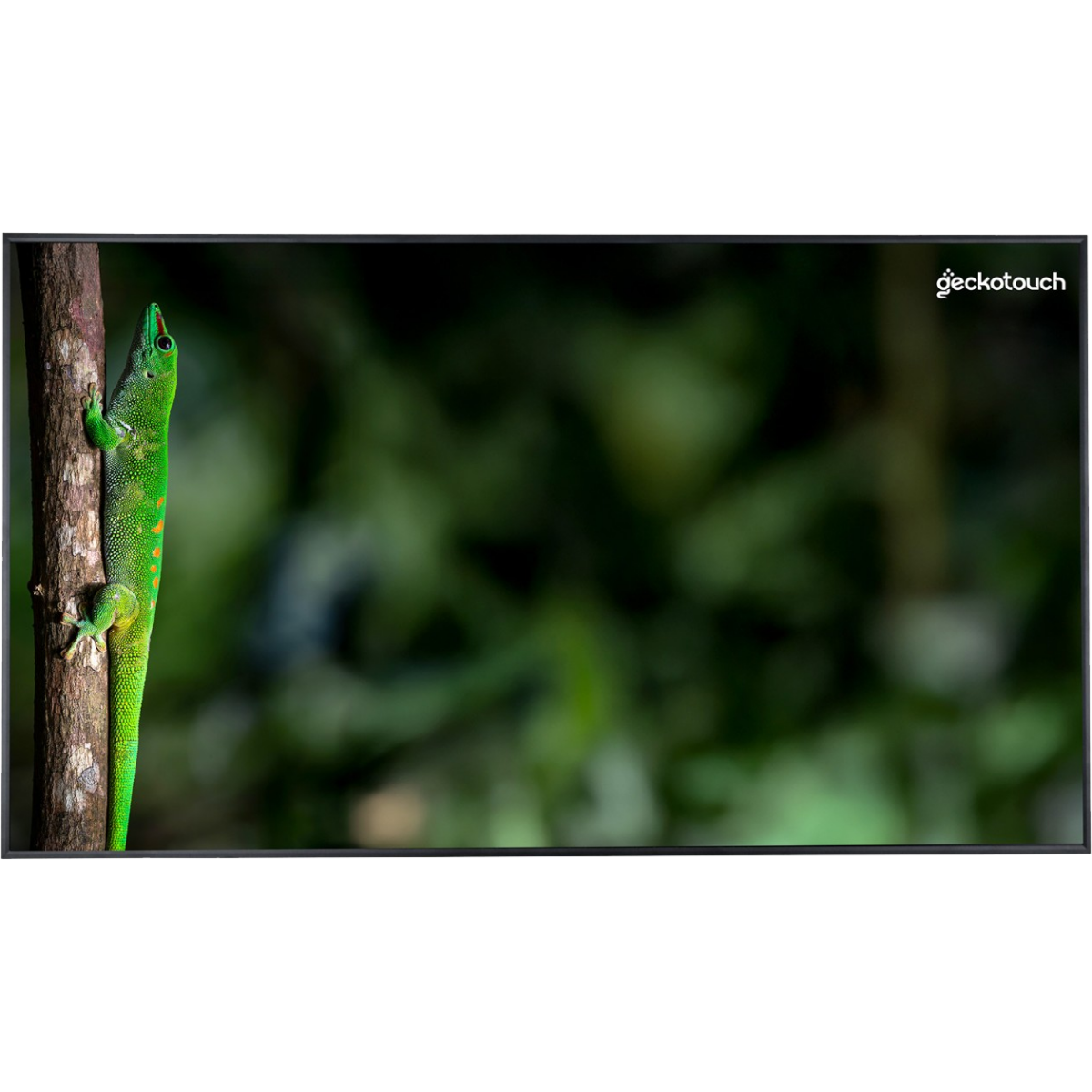 ЖК панель Geckotouch 55" 55DCR