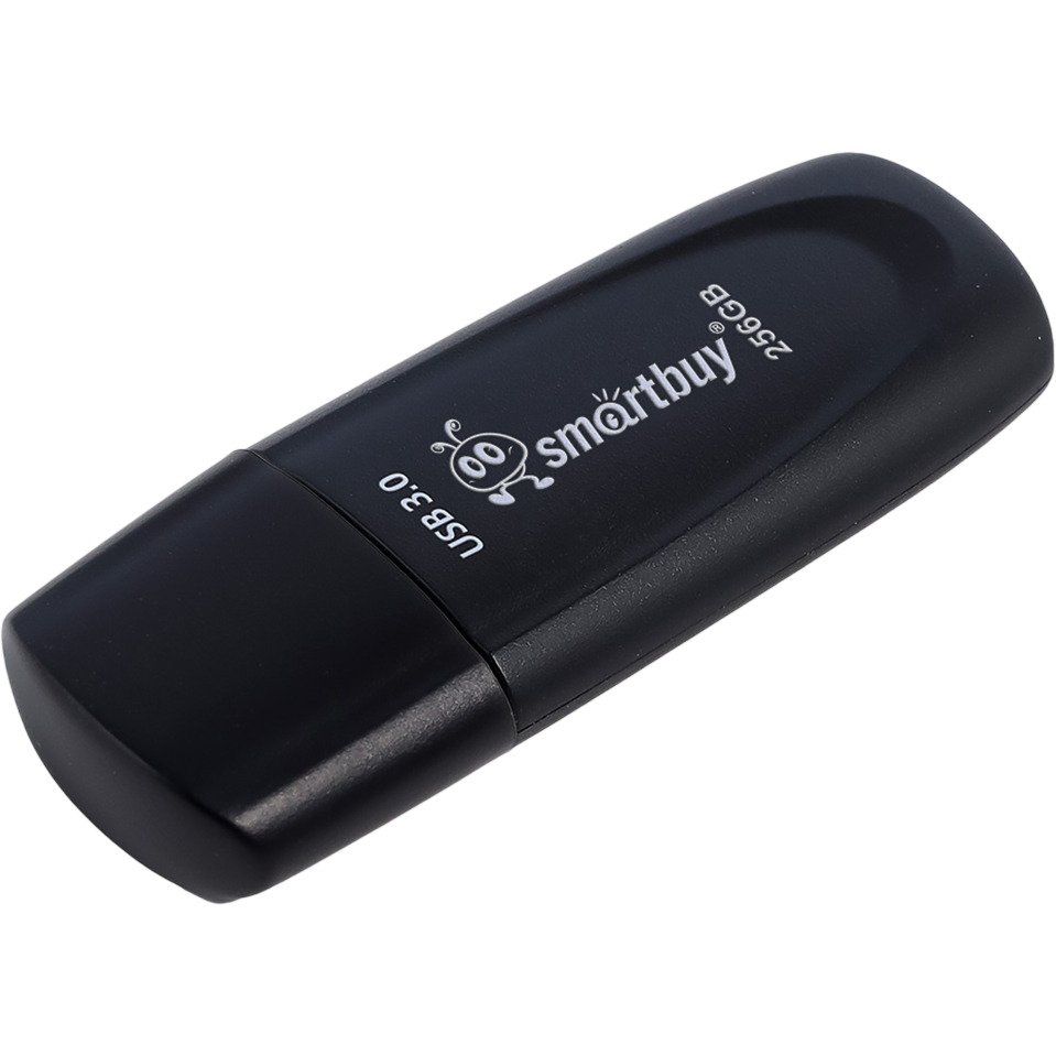 USB Flash накопитель 256GB SmartBuy Scout Black (SB256GB3SCK)