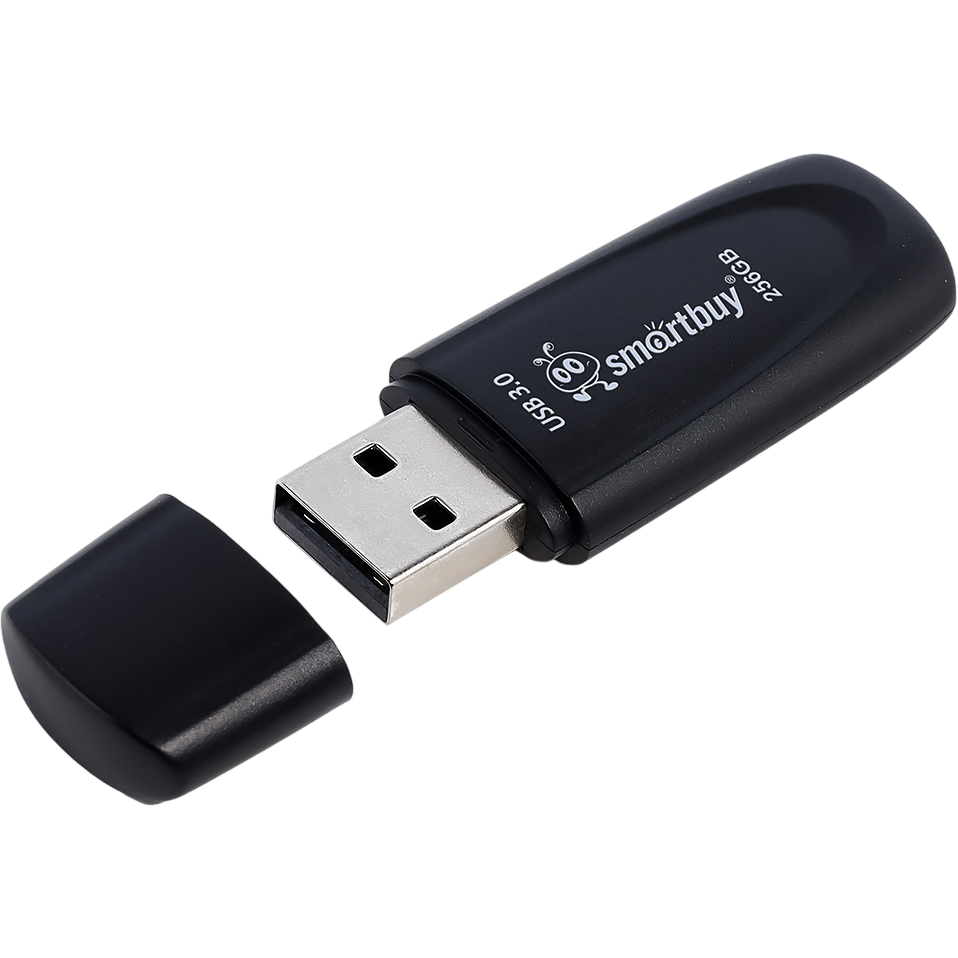 USB Flash накопитель 256GB SmartBuy Scout Black (SB256GB3SCK) - фото 2