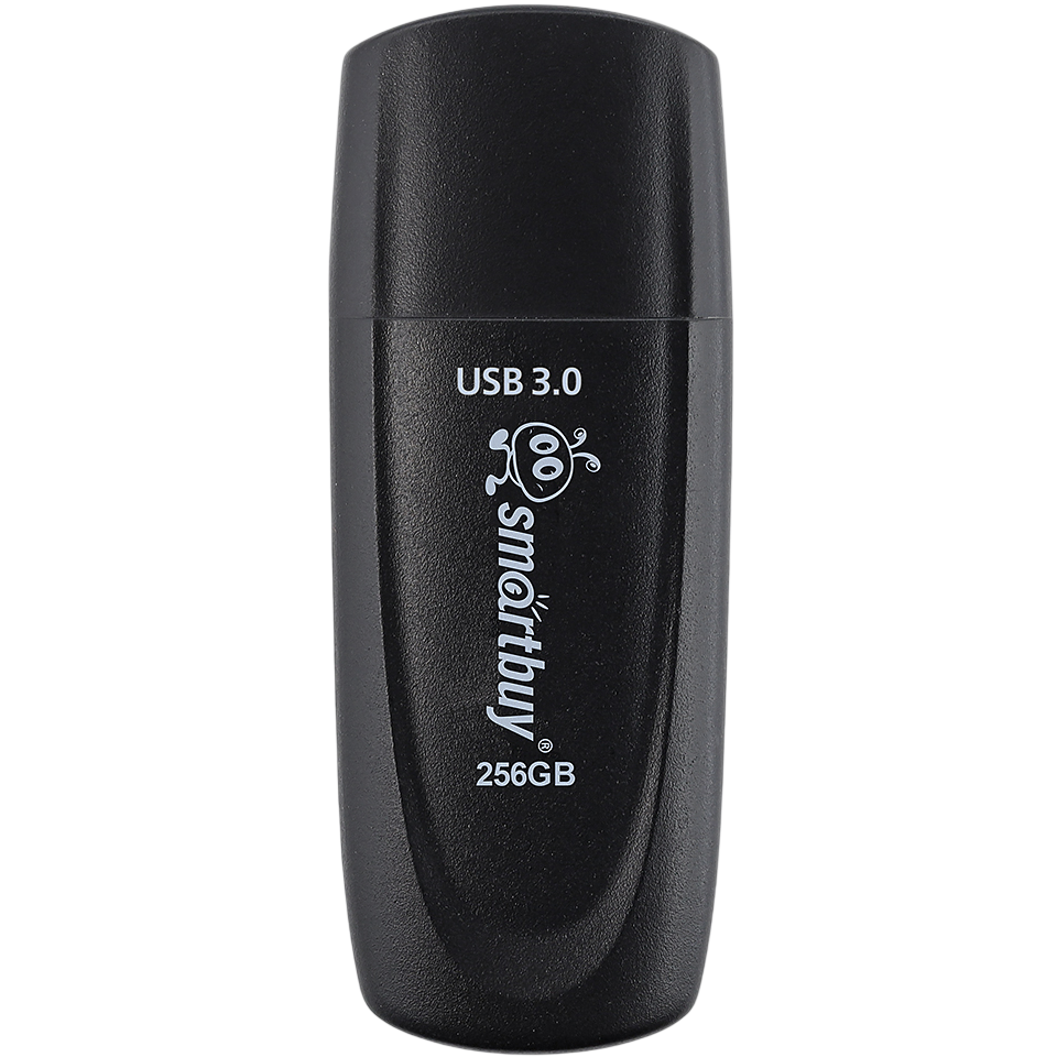 USB Flash накопитель 256GB SmartBuy Scout Black (SB256GB3SCK) - фото 3