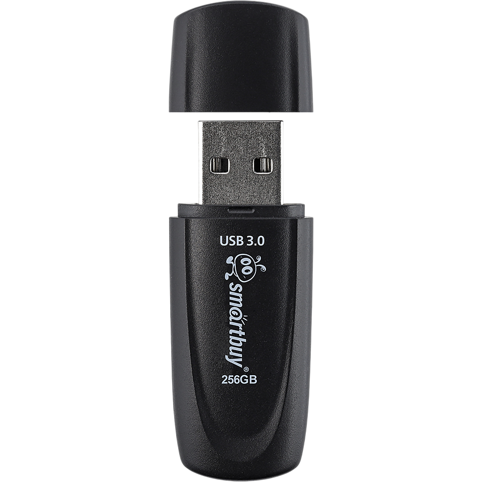 USB Flash накопитель 256GB SmartBuy Scout Black (SB256GB3SCK) - фото 4
