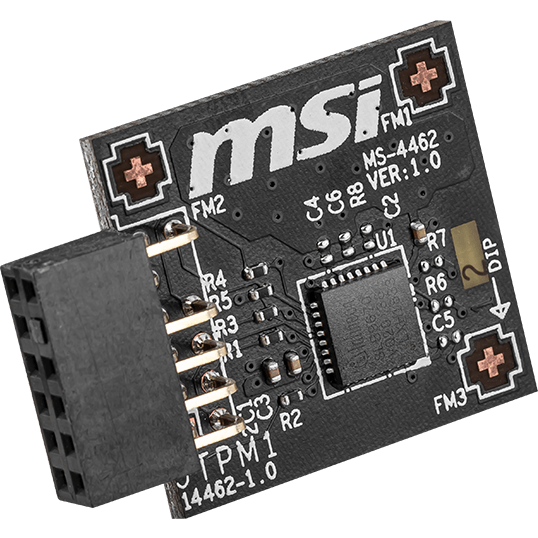 Модуль шифрования MSI MS-4462