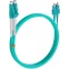 Патч-корд Rexant 50-2514-2, 2м