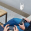 Wi-Fi усилитель (репитер) TP-Link RE205 - фото 6