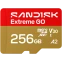 Карта памяти 256GB MicroSD SanDisk Extreme GO (SDSQXGN-256G-GN6MN)