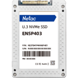 Накопитель SSD 3.2TB Netac ENSP403 (NS3T203P4HH6PA01)