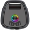 Портативная акустика Ritmix SP-500B Black - фото 4