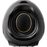 Портативная акустика Hisense FlexBOOM Black