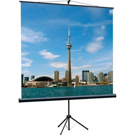 Экран Lumien Eco View 120х120 Matte White (LEV-100116)