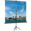 Экран Lumien Eco View 120х120 Matte White (LEV-100116)