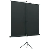 Экран Lumien Eco View 120х120 Matte White (LEV-100116)