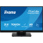 Монитор iiyama 22" ProLite T2254MSC-B2AG