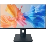 Монитор IRBIS 24" Mir View (R24FIDRS123_MIR)