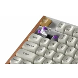 Клавиатура Keychron K10 HE Special Edition White (Gateron Nebula) (K10H-Q1-RU)