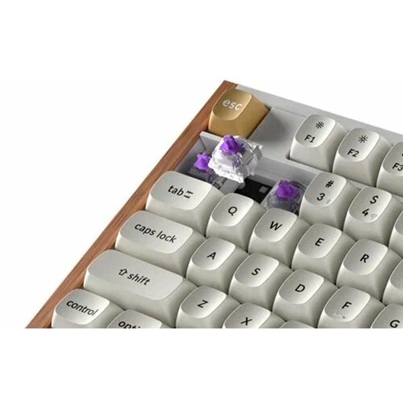 Клавиатура Keychron K10 HE Special Edition White (Gateron Nebula) - K10H-Q1-RU - фото 5