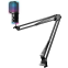 Микрофон Ritmix RDM-278S Black