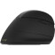 Мышь Delux KKM-M618 Mini Black - фото 2