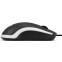 Мышь ExeGate Professional Standard M100 - EX301567RUS - фото 4