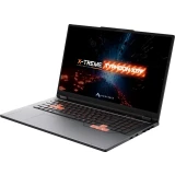 Ноутбук Maibenben X-Treme Tsunami X17F-R98956 (0G34LG4E10) (X17F-R989560G34LG4E10)