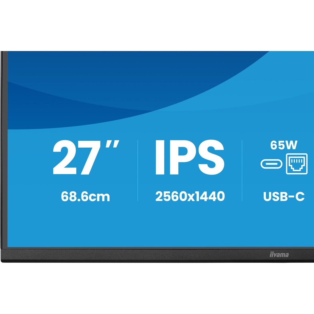 Монитор iiyama 27" ProLite XB2797QSN-B1 - фото 8