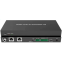 Видеоконтроллер REDDYLINK RLP-IP100SV