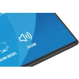 Монитор Iiyama 24" ProLite X2497HSU-B1