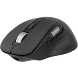 Мышь Oklick 601MW Black (1885438)