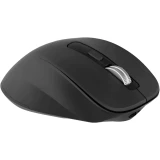 Мышь Oklick 601MW Black (1885438)