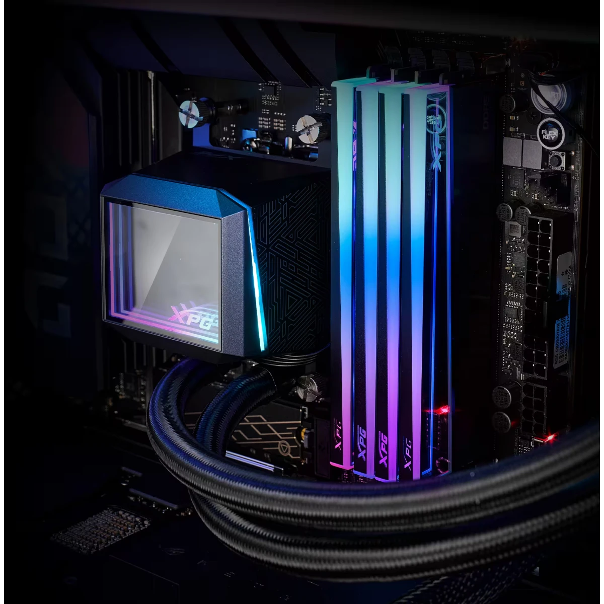 Оперативная память 16GB DDR5 5600MHz ADATA XPG Novakey RGB (AX5U5600C4616G-CNKRBK) - фото 4