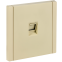Розетка RJ-45 IEK FP-K10-2-K10