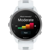 Умные часы Garmin Forerunner 170 Music Whitestone with Whitestone/Cloud Blue Band (010-03920-11)