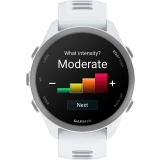 Умные часы Garmin Forerunner 170 Whitestone with Whitestone/Cloud Blue Band (010-03920-01)