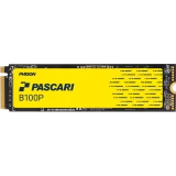 Накопитель SSD 960GB M.2 Phison Pascari B100P (B1802K00960GP011T0200)