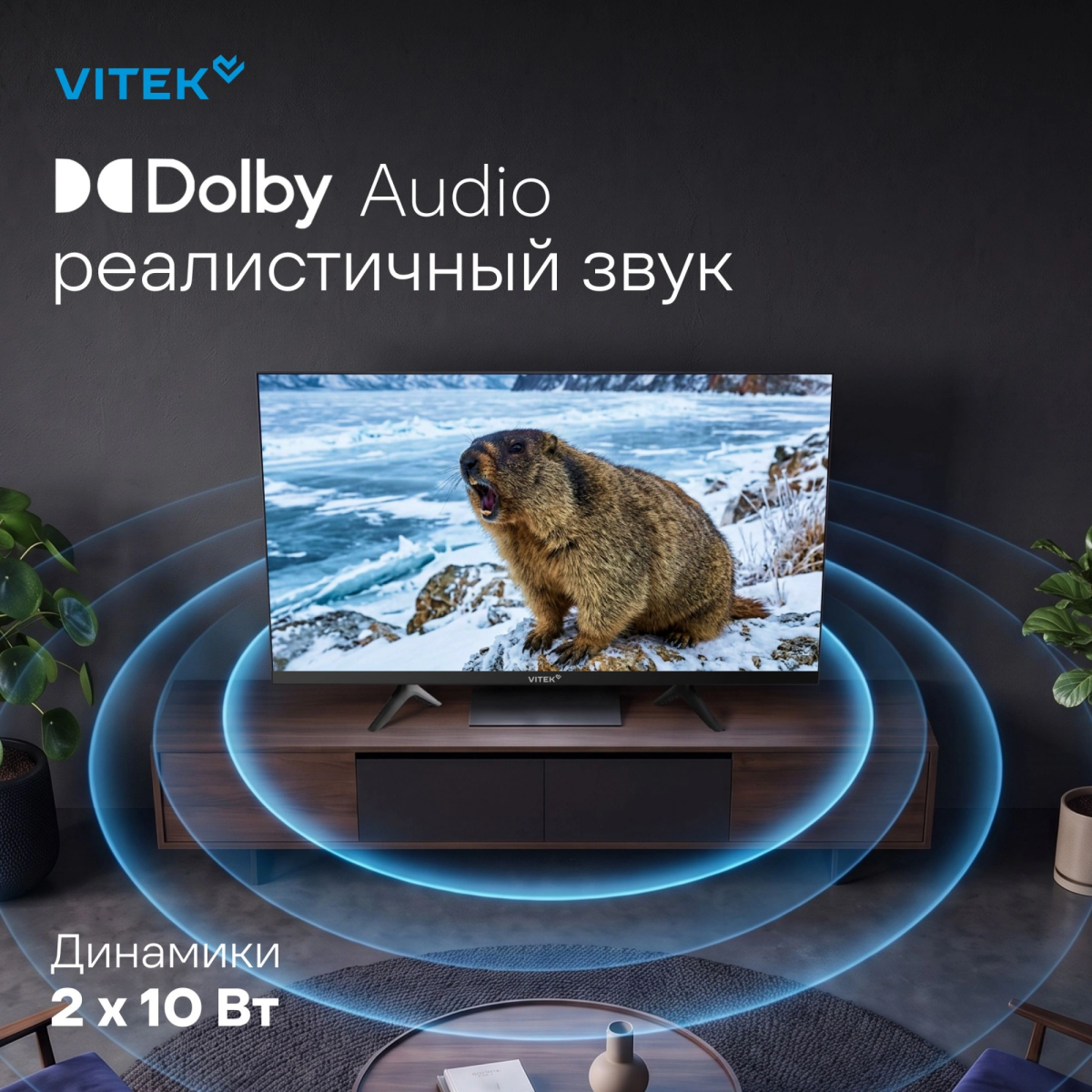 ЖК телевизор VITEK 43" VT-43QUBS500 - фото 13