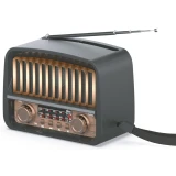 Радиоприёмник Ritmix RPR-029