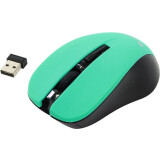 Мышь Canyon CNE-CMSW1 Green (CNE-CMSW1GR)