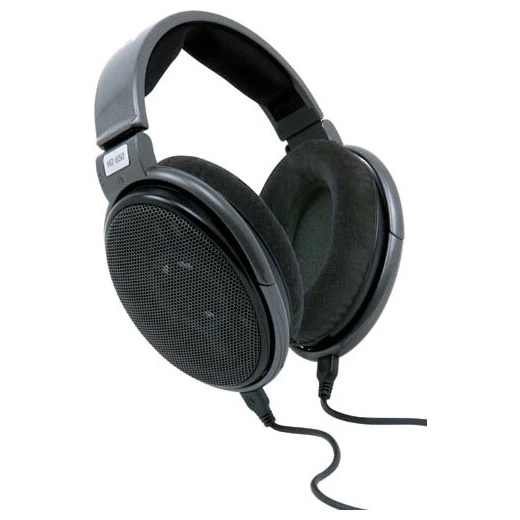 Наушники Sennheiser HD 650 - 508825