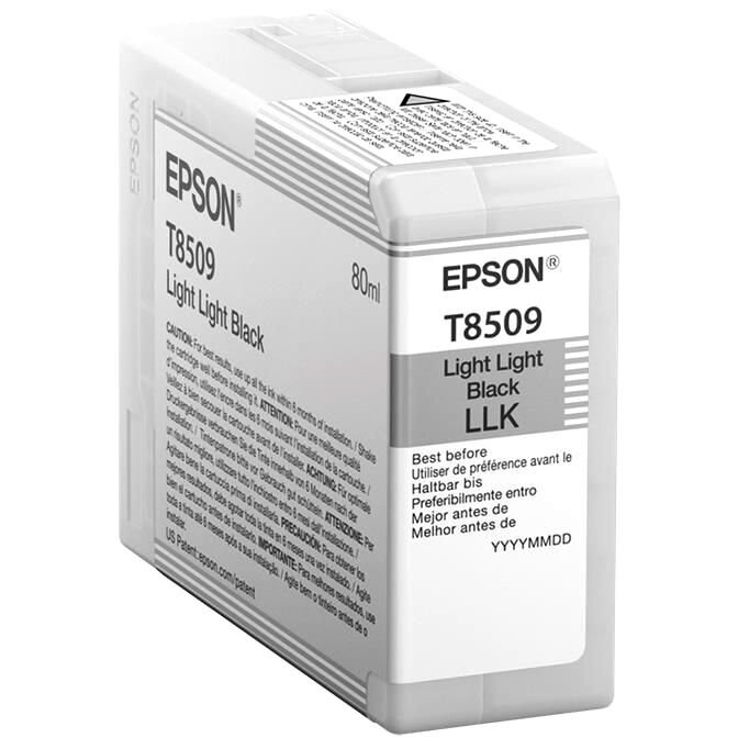 Картридж Epson C13T850900 Light Light Black