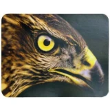 Коврик для мыши Buro BU-M40005 Орёл