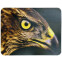 Коврик для мыши Buro BU-M40005 Орёл