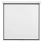 Экран Digis Optimal-B 225x300см MW (DSOB-4307)